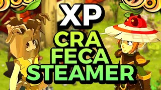 Les MEILLEURS ÉLÉMENTS pour XP en FECA CRA et STEAMER sur DOFUS [upl. by Lennaj]