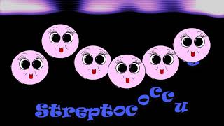 Shapes of Prokaryotic Cells  Bacteria and Archaea Cells [upl. by Siloam364]