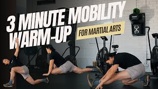 3 Minute MOBILITY WARMUP for MARTIAL ARTS [upl. by Fiel]