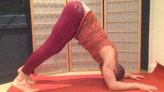 Forrest Yoga Asana  Dolphin [upl. by Yenahpets145]