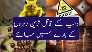 16 Worlds Deadliest Poisons 2018 In Urdu amp Hindi  Duniya Ke Qaatil Tareen Zehar [upl. by Onia303]