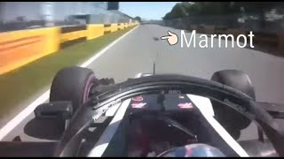 Crash of Romain Grosjean with a marmot before the last turn in FP2 [upl. by Amaleta]