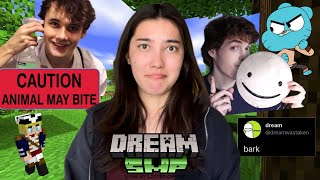 an unnecessarily long recap of dreamsmp drama [upl. by Neiviv]