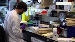 Extracellular Matrices Innovative Cancer Research at Beatson Institute [upl. by Adnuahsor]