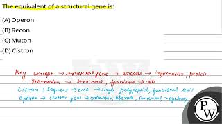 The equivalent of a structural gene is [upl. by Toy845]