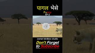 पागल भेसे Part 2🤣😂🤣 funnyshorts shortsfeed youtubeshorts viralshort ytshortsindia MrBeast [upl. by Marie-Ann]