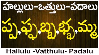 Pa Pha Ba Bha Ma  How to write vattulu  వత్తులు పదాలు Hallulu vatthulu padalu in telugu [upl. by Yrolg]