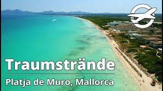 Platja de Muro ☀️ Die schönsten Strände auf Mallorca ☀️ [upl. by Ityak839]