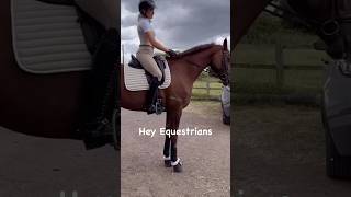 Not so positive edit Credits in the description equestrian horse equineedits pony youtube [upl. by Abigail]