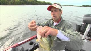 How to Catch Crappie in Cold Water Fall Fishing [upl. by Aihsaei]