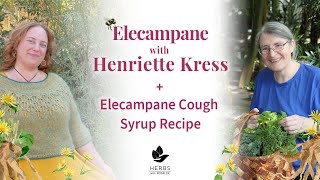 Elecampane with Henriette Kress  Elecampane Cough Syrup Recipe [upl. by Ardnosac594]