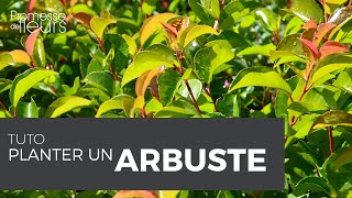 Tuto  comment planter un arbuste [upl. by Akemehs]