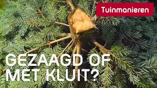 Kies je een gezaagde kerstboom of een boom met kluit  Kerst  Tuinmanieren [upl. by Warchaw]