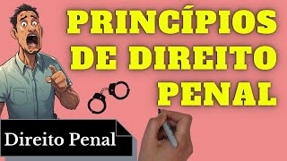 Princípios de Direito Penal Resumo Completo [upl. by Aekahs]