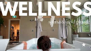 Wellness diary  ☆ sauna and cold plunge [upl. by Nlycaj]