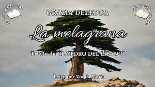 GRAZIA DELEDDA La melagrana da IL CEDRO DEL LIBANO [upl. by Notnert173]