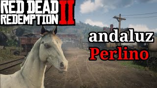 Como conseguir o Andaluz Perlino Melhor cavalo  RDR2 [upl. by Aisak640]