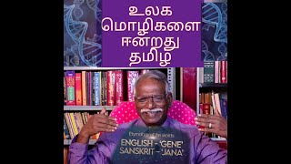 மூலமொழி ஆய்வுத்தொடர்  7  Gene  Jana வரலாறு  தாய்தமிழ்த்தாய்  Nostratic Studies குஅரசேந்திரன் [upl. by Aramahs]