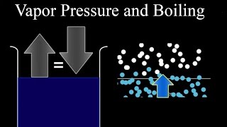 Vapor Pressure and Boiling [upl. by Ebarta]