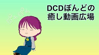 DCDぼんどの癒し動画広場 スロープトイ組み合わせ [upl. by Meela]