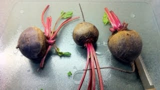 How To Prepare Beets [upl. by Hendrix623]