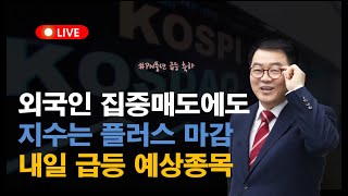 외국인 집중매도 이유 ㅣ SK하이닉스 추가 하락 연결인가 ㅣ 외국인 대규모 매도에도 지수가 상승한 이유 ㅣ내일 급등 예상 종목은 [upl. by Tenney]