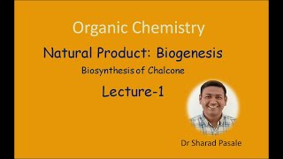 Biogenesis  Biosynthesis of Chalcone [upl. by Hullda383]