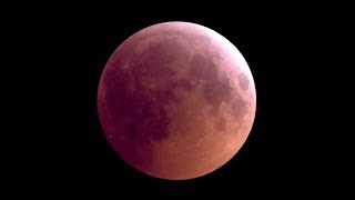 Mondfinsternis Livestream von Astroclub Radebeul eV [upl. by Aissilem251]