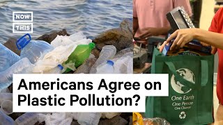 Poll Americans Are Concerned About Plastic Pollution Shorts [upl. by Doggett432]