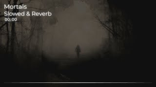 Warriyo  Mortals Slowed amp Reverb [upl. by Joslyn]