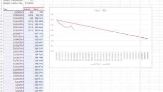 Tracking Your Weight Loss Goal With Excel  Logical Weight Loss [upl. by Zapot]