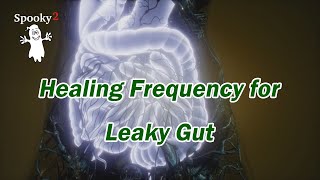 Healing Frequency for Leaky Gut  Spooky2 Rife Frequency Healing [upl. by Rotow]