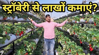 Strawberry Ki Kheti in Home  स्ट्रॉबेरी की खेती करके लाखों रुपए कमाए [upl. by Gem30]