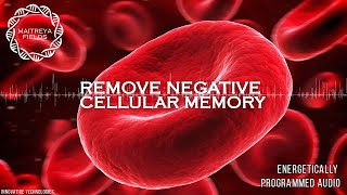 Remove Negative Cellular Memory  Energetically Programmed Audio  Maitreya Reiki™ [upl. by Mallon]