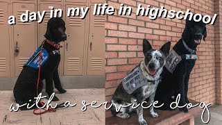 a day in my life  highschool with a service dog [upl. by Bala]