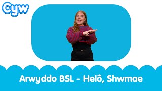 Arwyddo BSL  Helo Shwmae  BSL Signed Kids Song  Hello How are you Welsh Cymraeg [upl. by Aiyn]