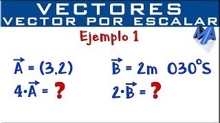 Multiplicación de un vector por un escalar  Ejemplo 1 [upl. by Magen]