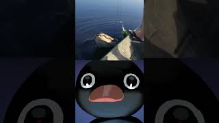 Pingu Meme  Noot Noot  Man Catches Crocodile Instead Of Fish [upl. by Tlok336]