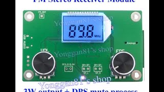 Ebay DSP amp PLL Digital Stereo FM Radio Module  FM Transmitter [upl. by Anayeek511]