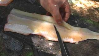 How to Fillet a Northern Pike [upl. by Lillith444]