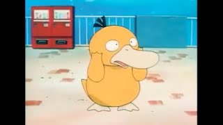 Psyducks Funny Moments [upl. by Deys246]