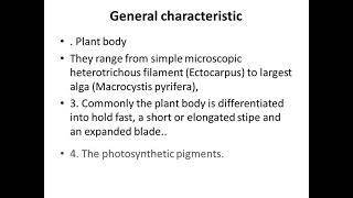 1 Phaeophyceae Brown algae An introduction amp characteristics [upl. by Lilhak751]