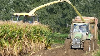 Ensilage maïs 2013 conditions difficiles [upl. by Akenahs656]