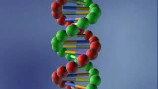 👨‍🏫 DNA molekula  8 razred  Biologija [upl. by Kcinimod]