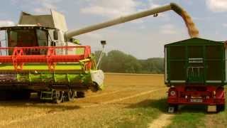 HD Claas Lexion 750 TT Edt quotHelmut Claasquot mit V750 im Weizen [upl. by Starbuck217]