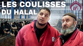 LE HALAL EN FRANCE C’EST FINI [upl. by Alurta]