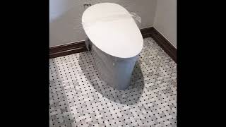 Kohler Toilet ReplacementInstall [upl. by Wareing]