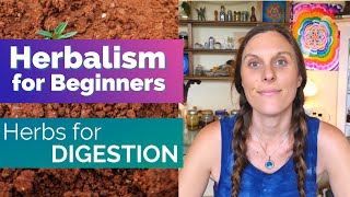 HERBALISM COURSE FOR BEGINNERS  How to Become Herbalist  Learn Herbal Medicine Online [upl. by Aihsercal243]