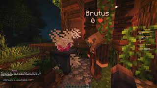 BetonQuest showcase  Brutus the tree whisperer [upl. by Martinson]