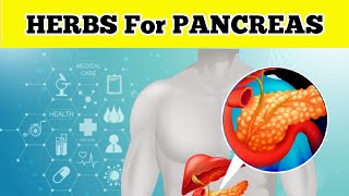 The 12 Herbs for A Healthy Pancreas [upl. by Christiane]